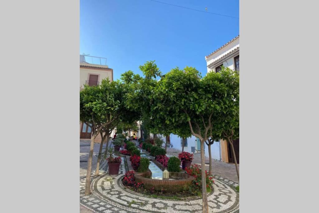 Estepona Seaview Apartment SELETUR Exterior foto